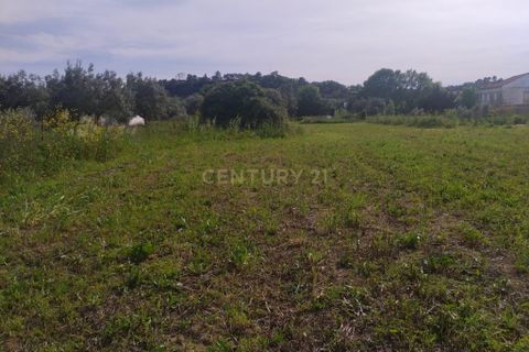 Helårsgrund i Tomar, Santarem, Tomar - € 39.000 | Ref: C0452-00318 - foto 7