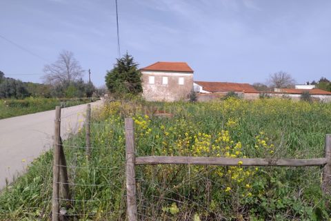 Helårsgrund i Tomar, Santarem, Tomar - € 39.000 | Ref: C0452-00318 - foto 8