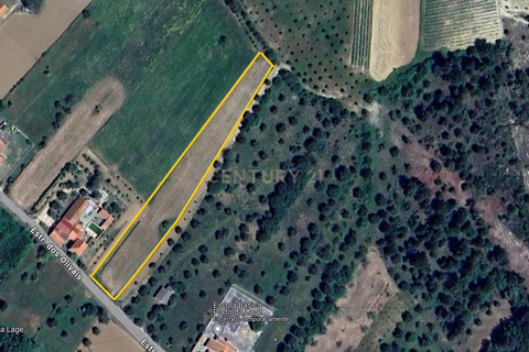 Helårsgrund i Tomar, Santarem, Tomar - € 39.000 | Ref: C0452-00318 - foto 9