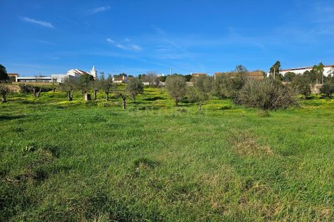 Helårsgrund i Constancia, Santarem, Constancia - € 45.000 | Ref: C0452-00321 - foto 3