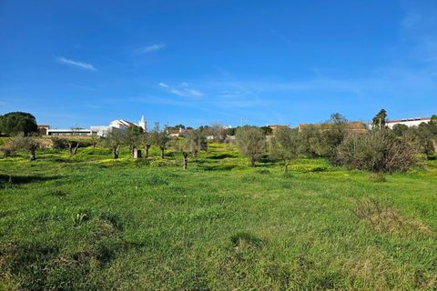 Helårsgrund i Constancia, Santarem, Constancia - € 45.000 | Ref: C0452-00321 - foto 4