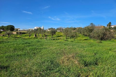 Helårsgrund i Constancia, Santarem, Constancia - € 45.000 | Ref: C0452-00321 - foto 5
