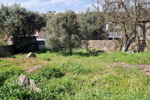 Helårsgrund i Viseu, Viseu, Viseu - € 25.000 | Ref: C0203-02271 - foto 6