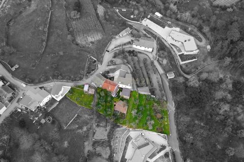 Villa i Viseu, Viseu, Viseu - € 150.000 | Ref: C0203-02161 - foto 2