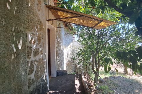 Villa i Viseu, Viseu, Viseu - € 150.000 | Ref: C0203-02161 - foto 4