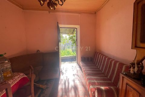 Villa i Viseu, Viseu, Viseu - € 150.000 | Ref: C0203-02161 - foto 7