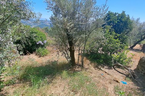 Villa i Viseu, Viseu, Viseu - € 150.000 | Ref: C0203-02161 - foto 11
