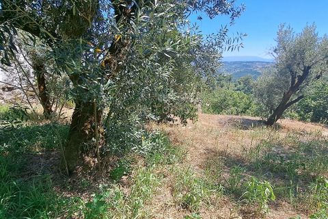 Villa i Viseu, Viseu, Viseu - € 150.000 | Ref: C0203-02161 - foto 12