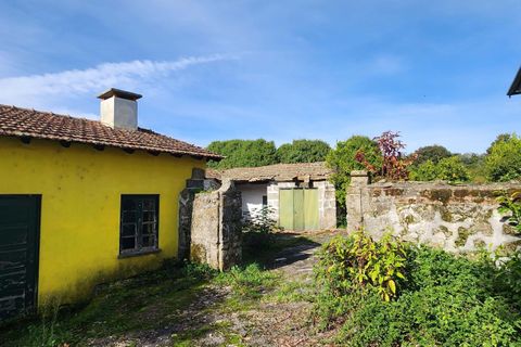 Villa i Viseu, Viseu, Viseu - € 550.000 | Ref: C0203-02191 - foto 8