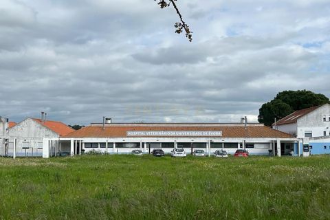 Helårsgrund i Evora, Evora, Evora - € 145.000 | Ref: C0185-03034 - foto 13