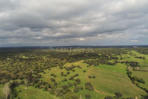 Helårsgrund i Evora, Evora, Evora - € 145.000 | Ref: C0185-03034 - foto 15