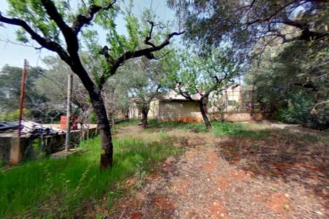 Landejendom i Monopoli, Bari, Monopoli - € 278.000 | Ref: SIMON - foto 13