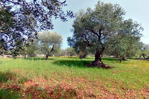 Landejendom i Monopoli, Bari, Monopoli - € 278.000 | Ref: SIMON - foto 14