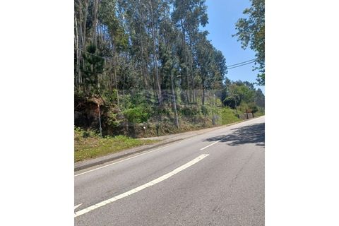 Helårsgrund i Dornelas, Aveiro, Dornelas - € 22.500 | Ref: TER_1674 - foto 2