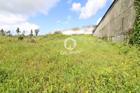 Helårsgrund i Trofa, Porto, Trofa - € 390.000 | Ref: 240-T-25063 - foto 5