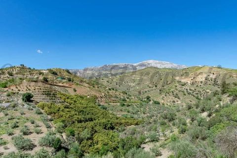 Finca i Sedella, Malaga, Sedella - € 110.000 | Ref: CP669 - foto 10