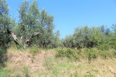 Byhus i Lanciano, Chieti, Lanciano - € 55.000 | Ref: VC0399 - foto 14