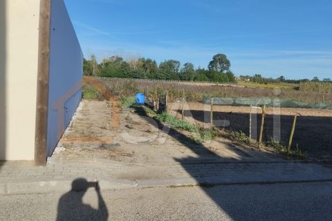 Helårsgrund i Alpiarca, Santarem, Alpiarca - € 50.000 | Ref: SAFTI:005048 - foto 3