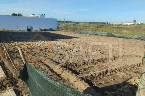 Helårsgrund i Alpiarca, Santarem, Alpiarca - € 50.000 | Ref: SAFTI:005048 - foto 4