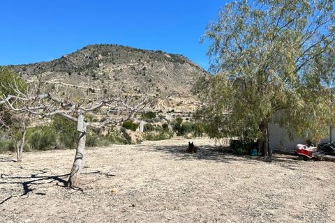 Landejendom i Relleu, Alicante, Relleu - € 250.000 | Ref: COL-4001 - foto 6