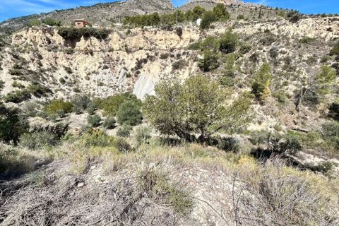 Landejendom i Relleu, Alicante, Relleu - € 250.000 | Ref: COL-4001 - foto 25