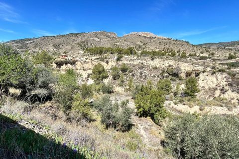 Landejendom i Relleu, Alicante, Relleu - € 250.000 | Ref: COL-4001 - foto 36
