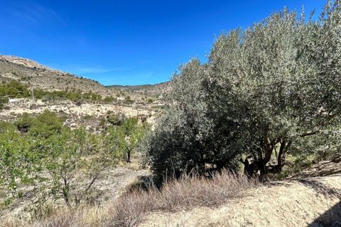 Landejendom i Relleu, Alicante, Relleu - € 250.000 | Ref: COL-4001 - foto 37