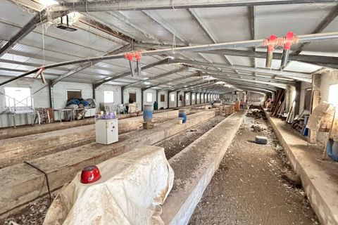 Landejendom i Relleu, Alicante, Relleu - € 250.000 | Ref: COL-4001 - foto 47