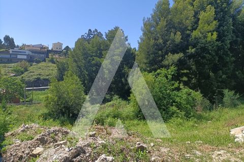 Helårsgrund i Paredes, Porto, Paredes - € 50.000 | Ref: 1360006/24PN - foto 3