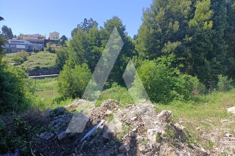 Helårsgrund i Paredes, Porto, Paredes - € 50.000 | Ref: 1360006/24PN - foto 5