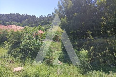 Helårsgrund i Paredes, Porto, Paredes - € 50.000 | Ref: 1360006/24PN - foto 6
