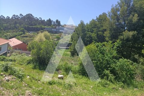 Helårsgrund i Paredes, Porto, Paredes - € 50.000 | Ref: 1360006/24PN - foto 7