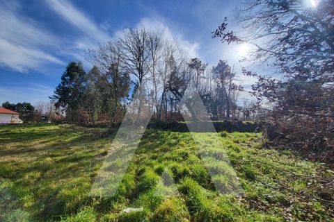 Helårsgrund i Viseu, Viseu, Viseu - € 40.000 | Ref: 1180419/24VS - foto 5