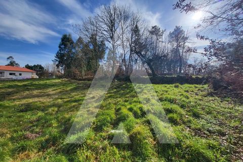 Helårsgrund i Viseu, Viseu, Viseu - € 40.000 | Ref: 1180419/24VS - foto 6