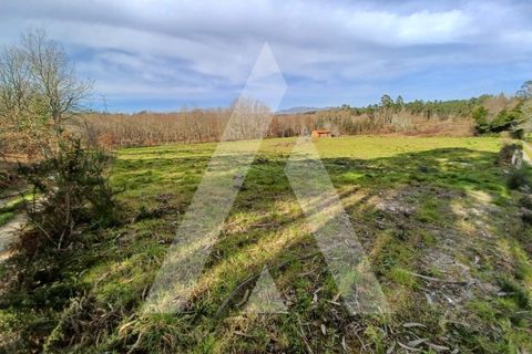 Helårsgrund i Viseu, Viseu, Viseu - € 40.000 | Ref: 1180419/24VS - foto 9