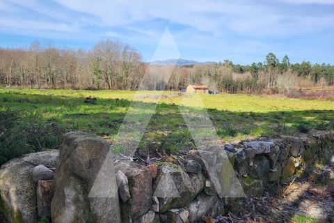 Helårsgrund i Viseu, Viseu, Viseu - € 40.000 | Ref: 1180419/24VS - foto 12