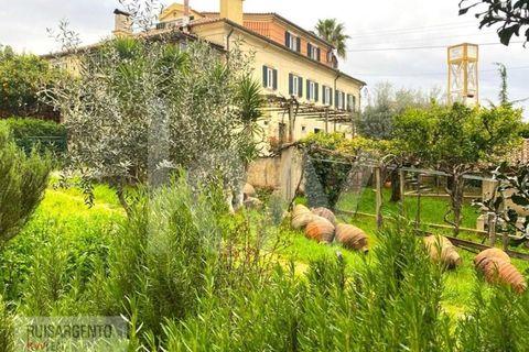 Gård i Serta, Castelo Branco, Serta - € 2 950 000 | Ref: MAS_111RS1204-4610 - foto 2