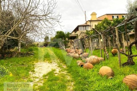 Gård i Serta, Castelo Branco, Serta - € 2 950 000 | Ref: MAS_111RS1204-4610 - foto 4