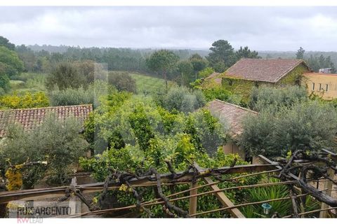 Gård i Serta, Castelo Branco, Serta - € 2 950 000 | Ref: MAS_111RS1204-4610 - foto 6