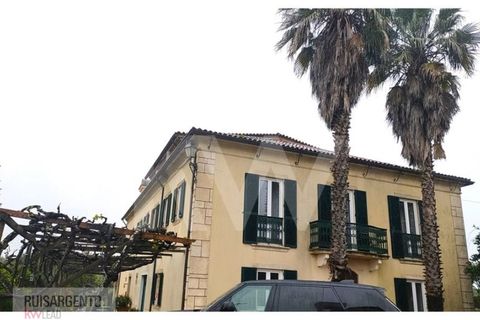 Gård i Serta, Castelo Branco, Serta - € 2 950 000 | Ref: MAS_111RS1204-4610 - foto 13