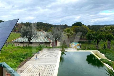 Gård i Serta, Castelo Branco, Serta - € 2 950 000 | Ref: MAS_111RS1204-4610 - foto 17