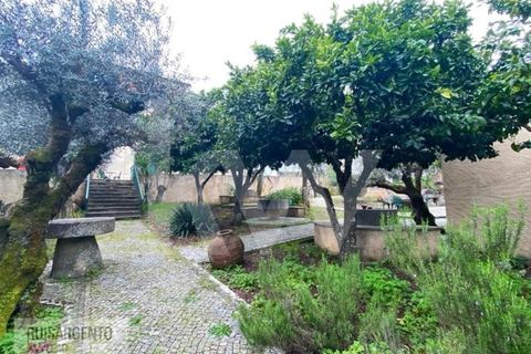 Gård i Serta, Castelo Branco, Serta - € 2 950 000 | Ref: MAS_111RS1204-4610 - foto 18