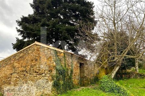 Gård i Serta, Castelo Branco, Serta - € 2 950 000 | Ref: MAS_111RS1204-4610 - foto 19