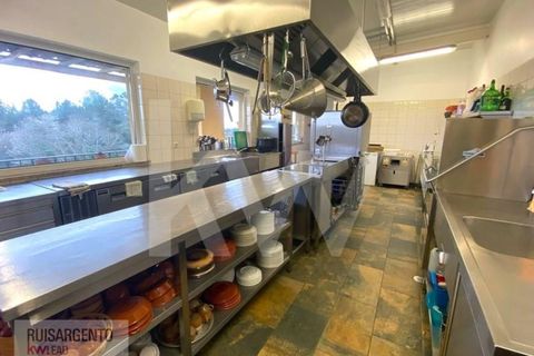 Gård i Serta, Castelo Branco, Serta - € 2 950 000 | Ref: MAS_111RS1204-4610 - foto 20