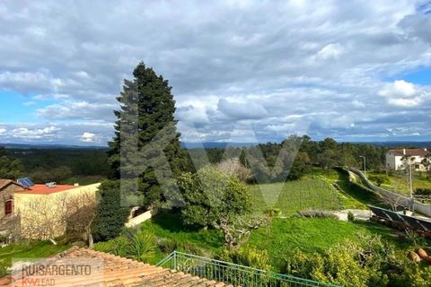 Gård i Serta, Castelo Branco, Serta - € 2 950 000 | Ref: MAS_111RS1204-4610 - foto 27