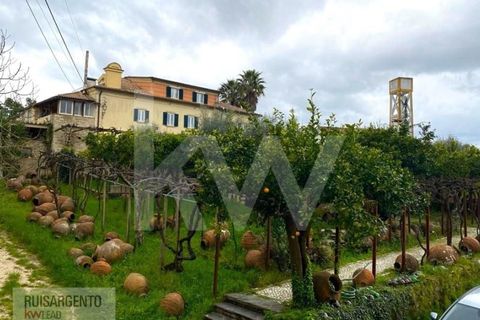 Gård i Serta, Castelo Branco, Serta - € 2 950 000 | Ref: MAS_111RS1204-4610 - foto 28