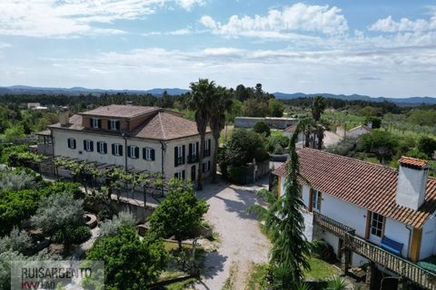 Gård i Serta, Castelo Branco, Serta - € 2 950 000 | Ref: MAS_111RS1204-4610 - foto 3