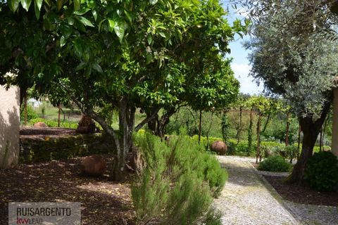Gård i Serta, Castelo Branco, Serta - € 2 950 000 | Ref: MAS_111RS1204-4610 - foto 32