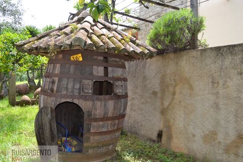 Gård i Serta, Castelo Branco, Serta - € 2 950 000 | Ref: MAS_111RS1204-4610 - foto 33