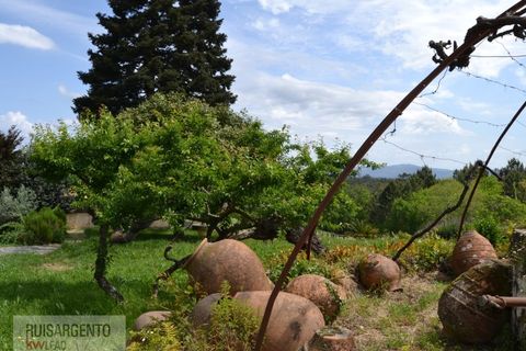 Gård i Serta, Castelo Branco, Serta - € 2 950 000 | Ref: MAS_111RS1204-4610 - foto 35